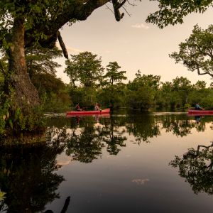 North Carolina State Parks - National Parks in NC | VisitNC.com